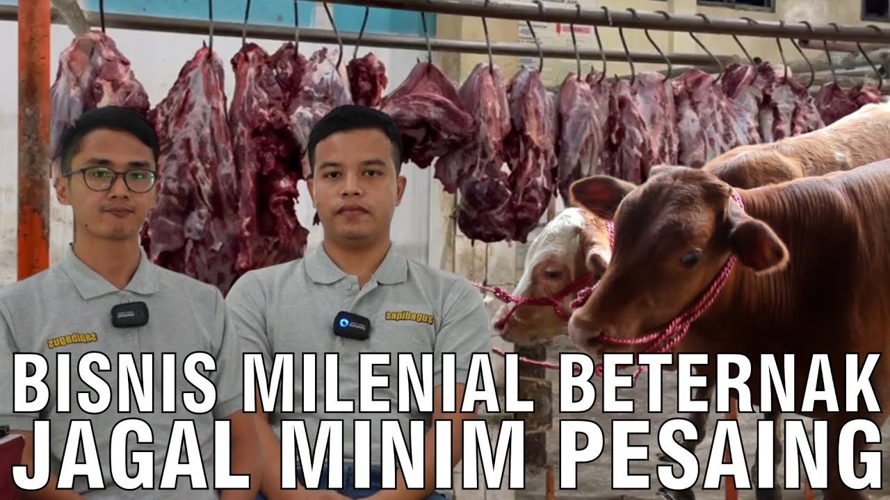 
                                 Bisnis-Milenial-Minim-Pesaing-Beternak-Sapi-Dan-Jagal